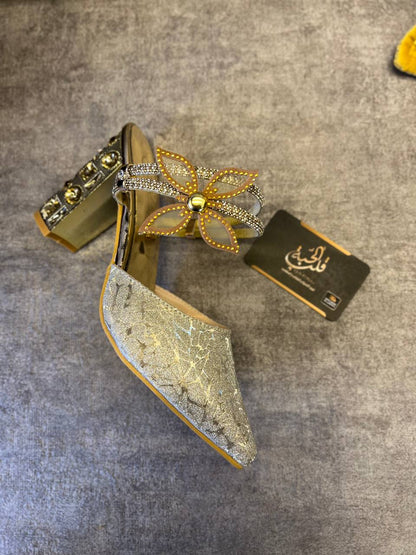 Sabot Soirée élégant, Chic